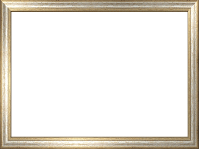 Silver and Gold Framed map preview