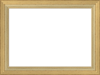 Gold Framed Map 133 Preview