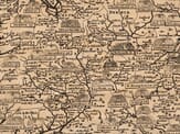 Invasions Detail from Invasions map