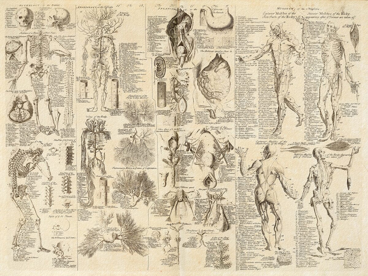 Medical Chart Graduation Gift