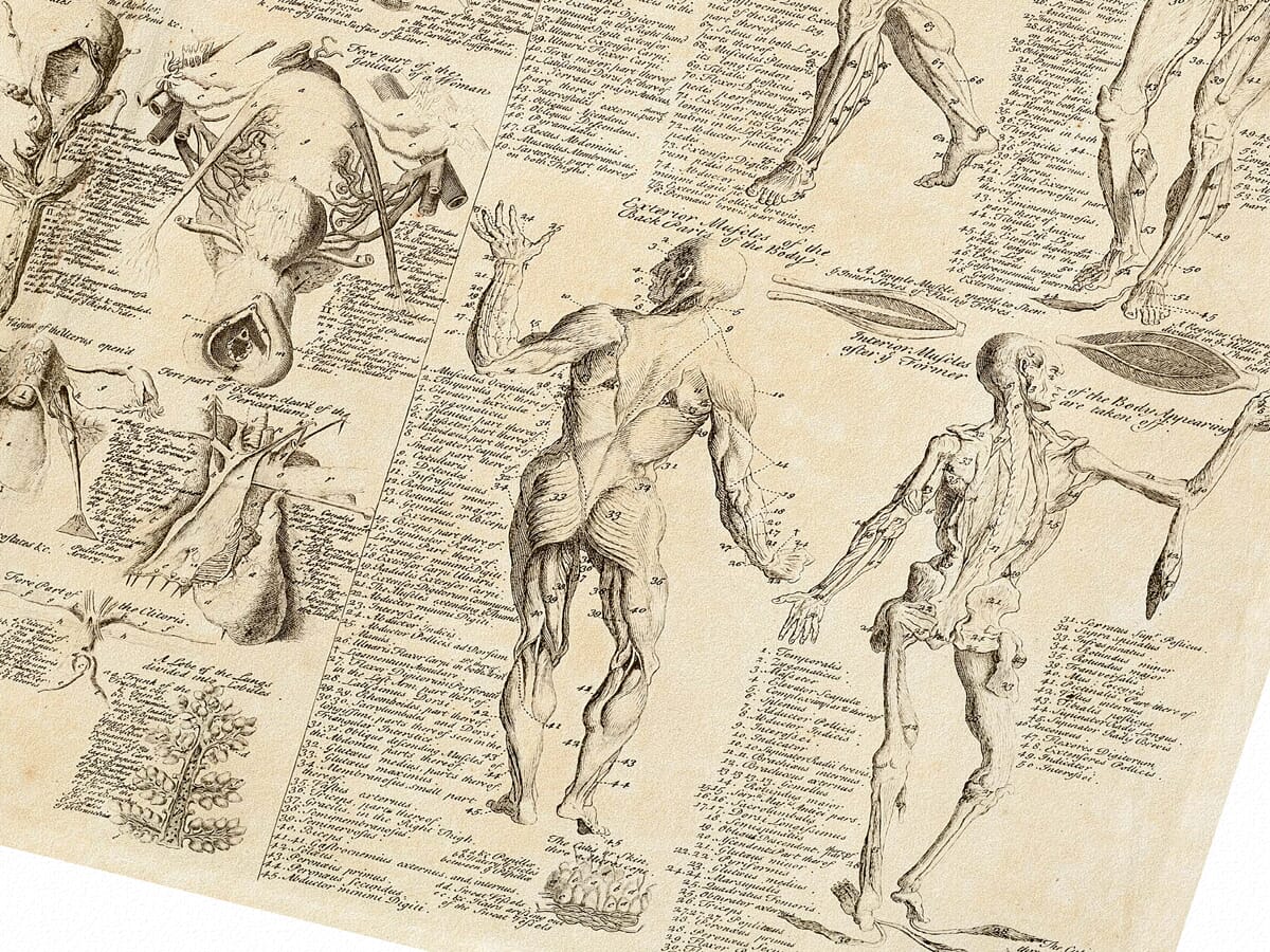 Medical Chart Detail